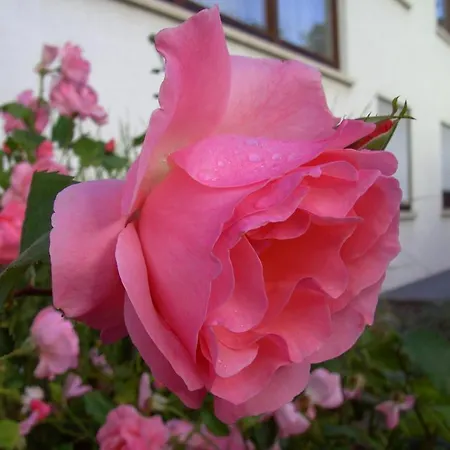 Garni Jaegerhof Hotel