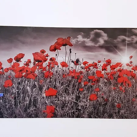 Hotel Garni Jaegerhof Sigmaringen