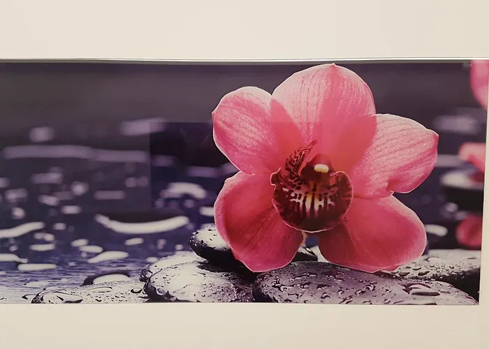 Hotel Garni Jaegerhof Sigmaringen