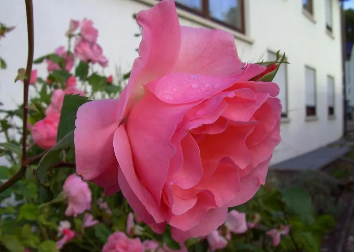 Garni Jagerhof Hotel