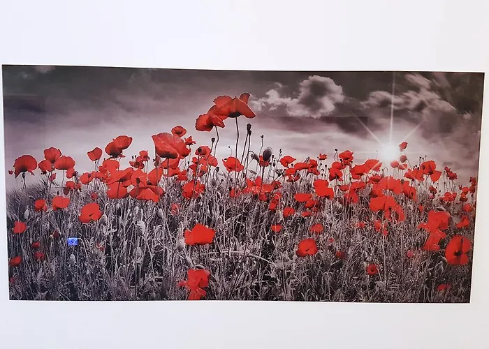 Hotel Garni Jagerhof Sigmaringen